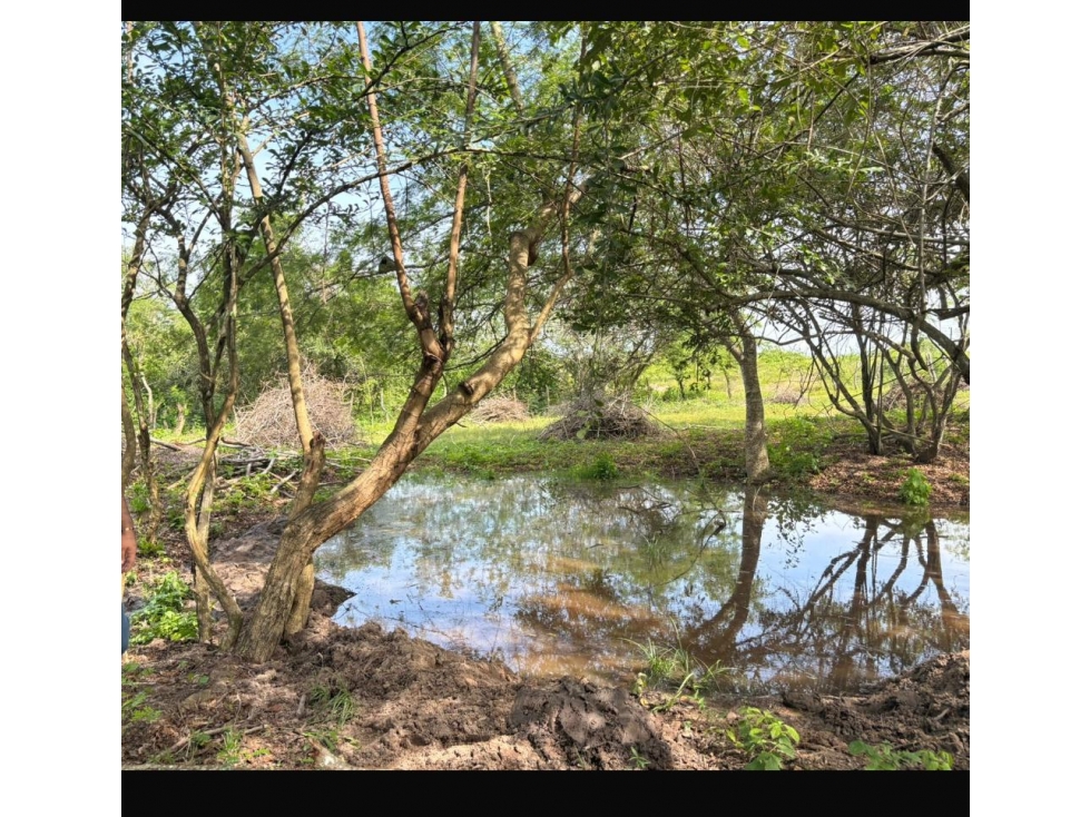 FINCA -LOTE CASCAJAL SABANALARGA - 3