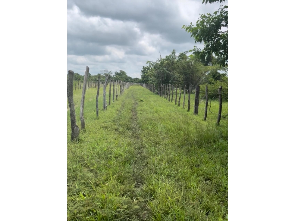 FINCA -LOTE CASCAJAL SABANALARGA - 4