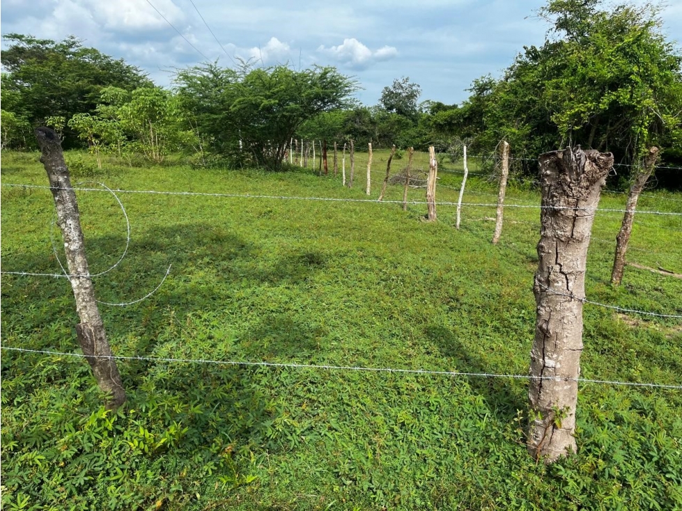 FINCA -LOTE CASCAJAL SABANALARGA - 5