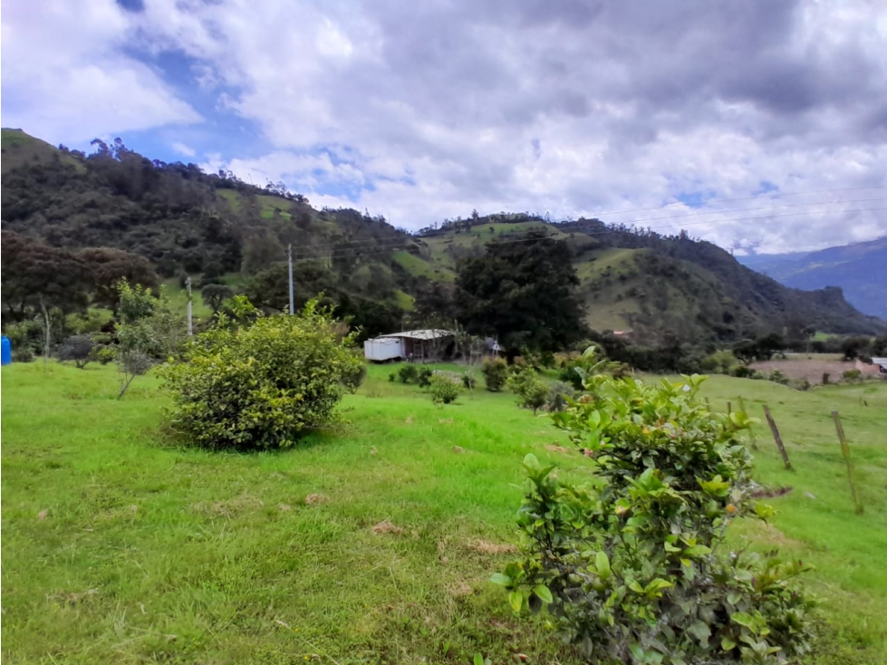 Vendo Lote Rura, Vereda La Victoria, Choachi Cundinamarca - 2