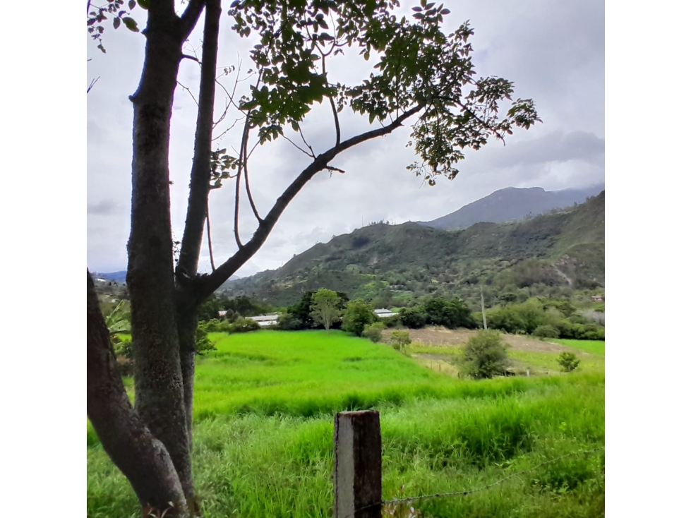 Venta Lote Rural, Sector Alto de la Virgen, Choachi, Cundinamarca - 2