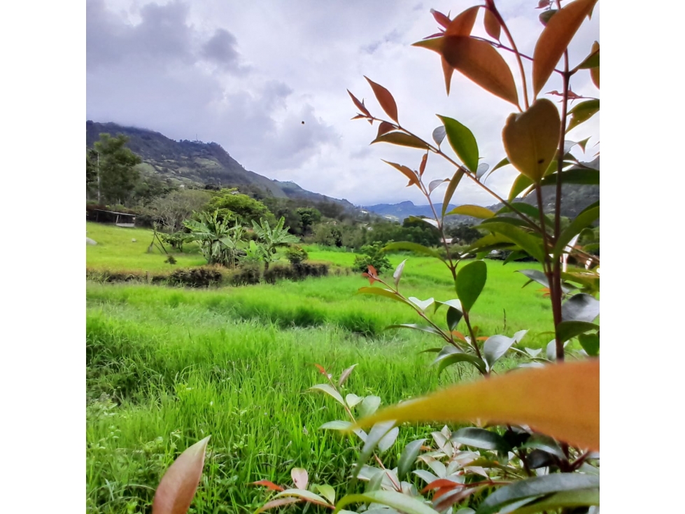 Venta Lote Rural, Sector Alto de la Virgen, Choachi, Cundinamarca - 5