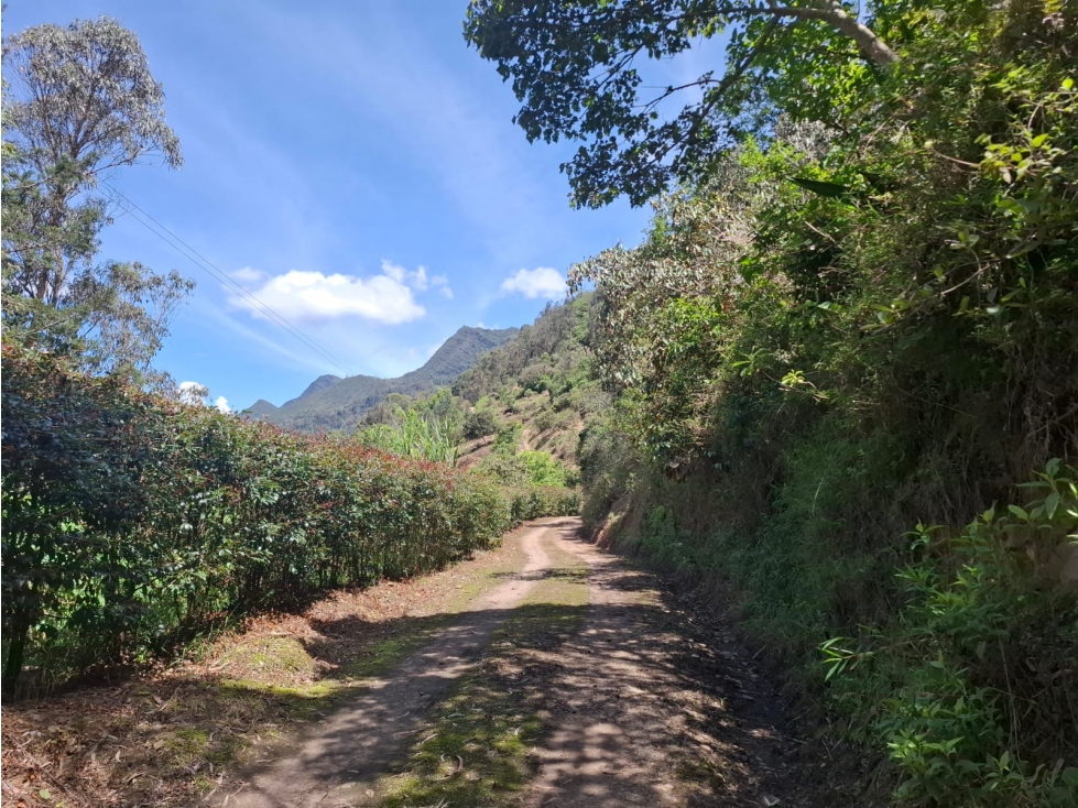 Venta de Predio Rural Choachi. Sector El Refugio - 1