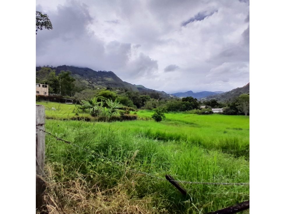 Venta Lote Rural, Sector Alto de la Virgen, Choachi, Cundinamarca - 1