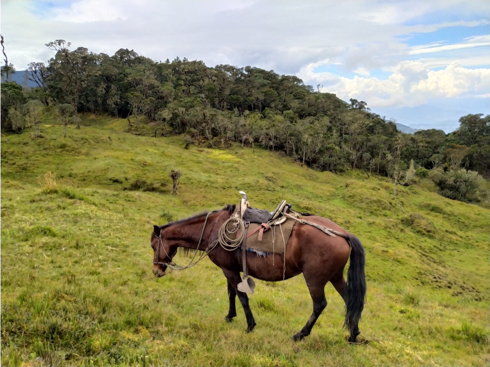 Venta de Finca Fomeque Cundinamarca - 6