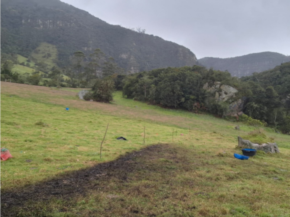 Vendo Predio Rural Choachi. Vereda Villa Nueva. - 1