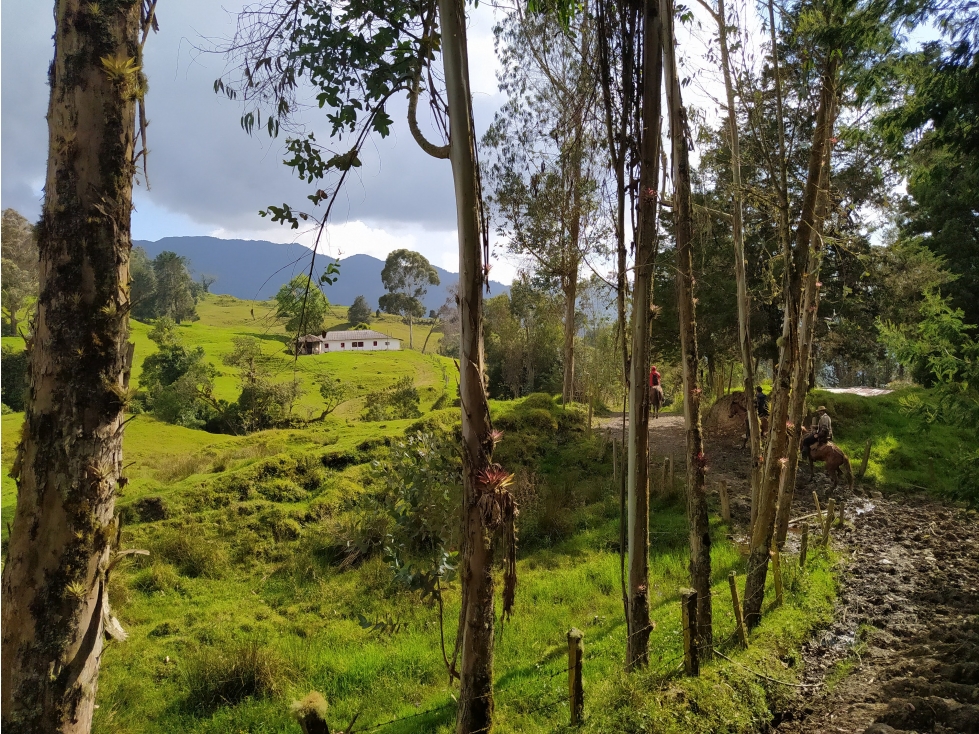Venta de Finca Fomeque Cundinamarca - 2