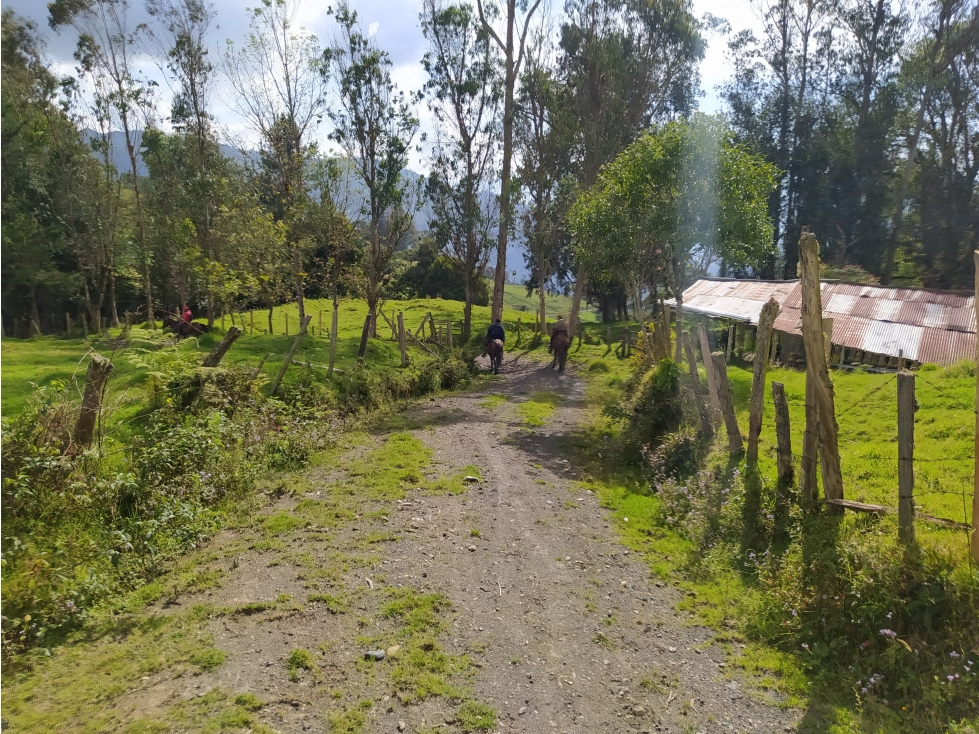Venta de Finca Fomeque Cundinamarca - 2