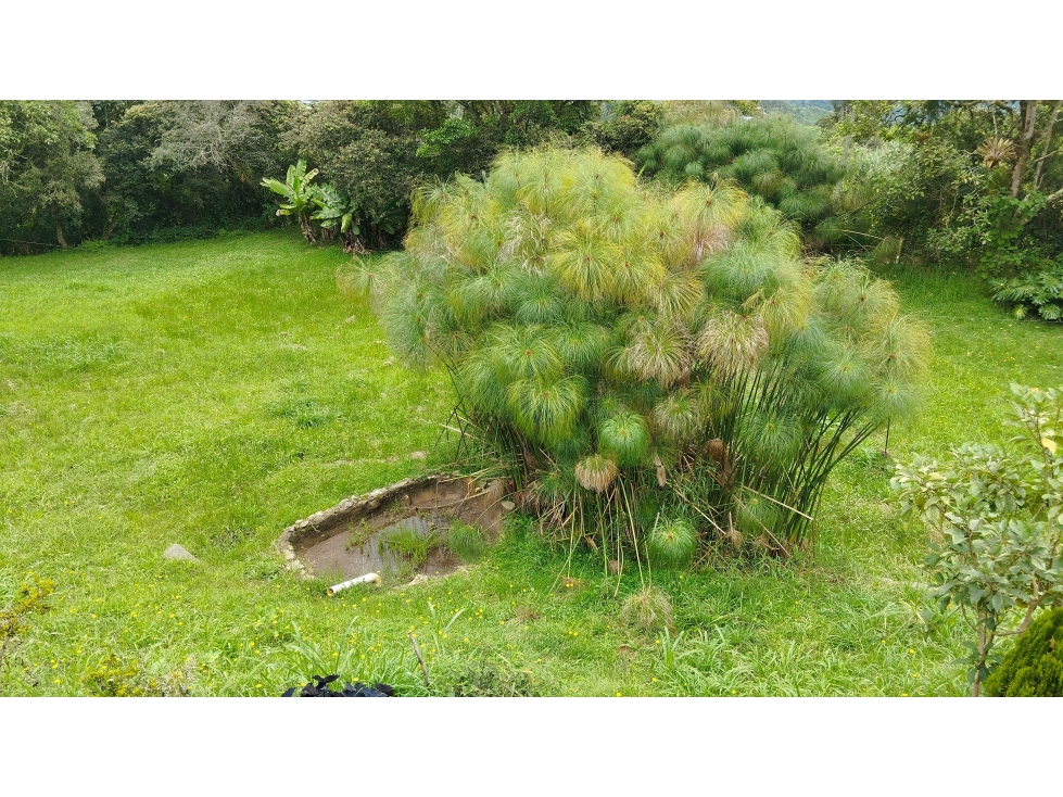 Venta de Finca, Vereda Carrizo, Choachi Cundinamarca - 5