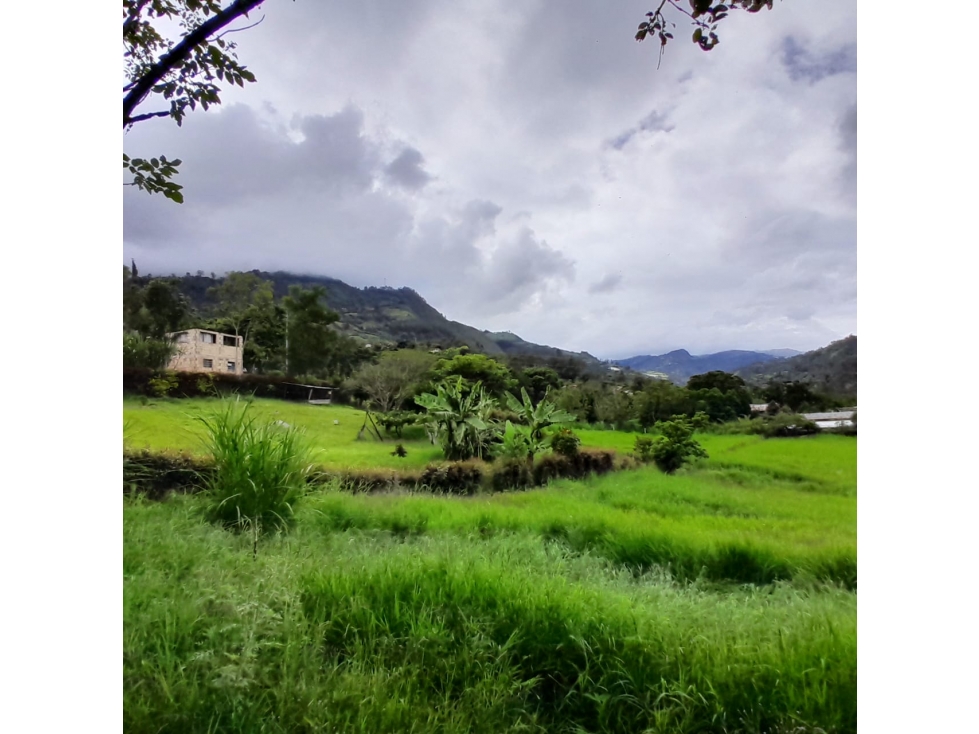 Venta Lote Rural, Sector Alto de la Virgen, Choachi, Cundinamarca - 6