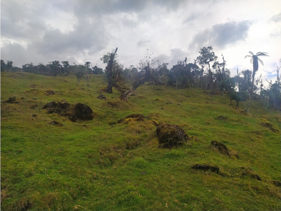 Venta de Finca Fomeque Cundinamarca - 4