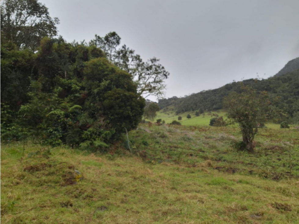 Vendo Predio Rural Choachi. Vereda Villa Nueva. - 2