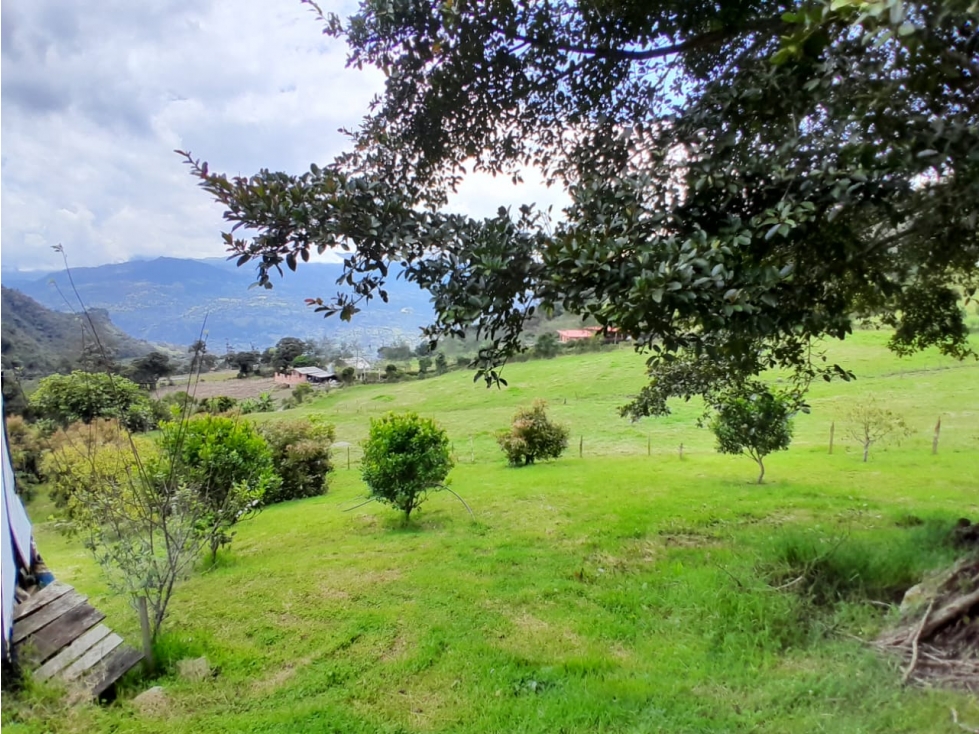 Vendo Lote Rura, Vereda La Victoria, Choachi Cundinamarca - 5