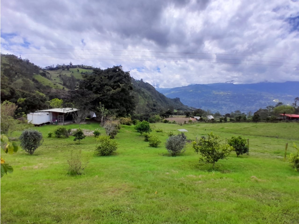 Vendo Lote Rura, Vereda La Victoria, Choachi Cundinamarca - 3