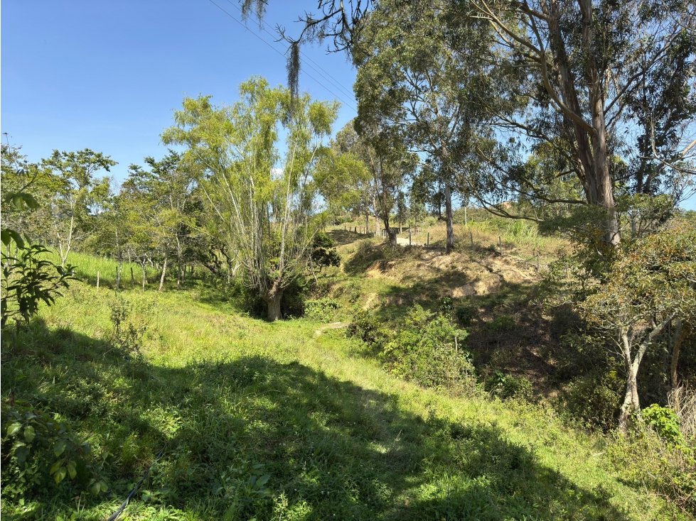 Finca Rural en Venta en el municipio de Ubaque Cundinamarca - 6
