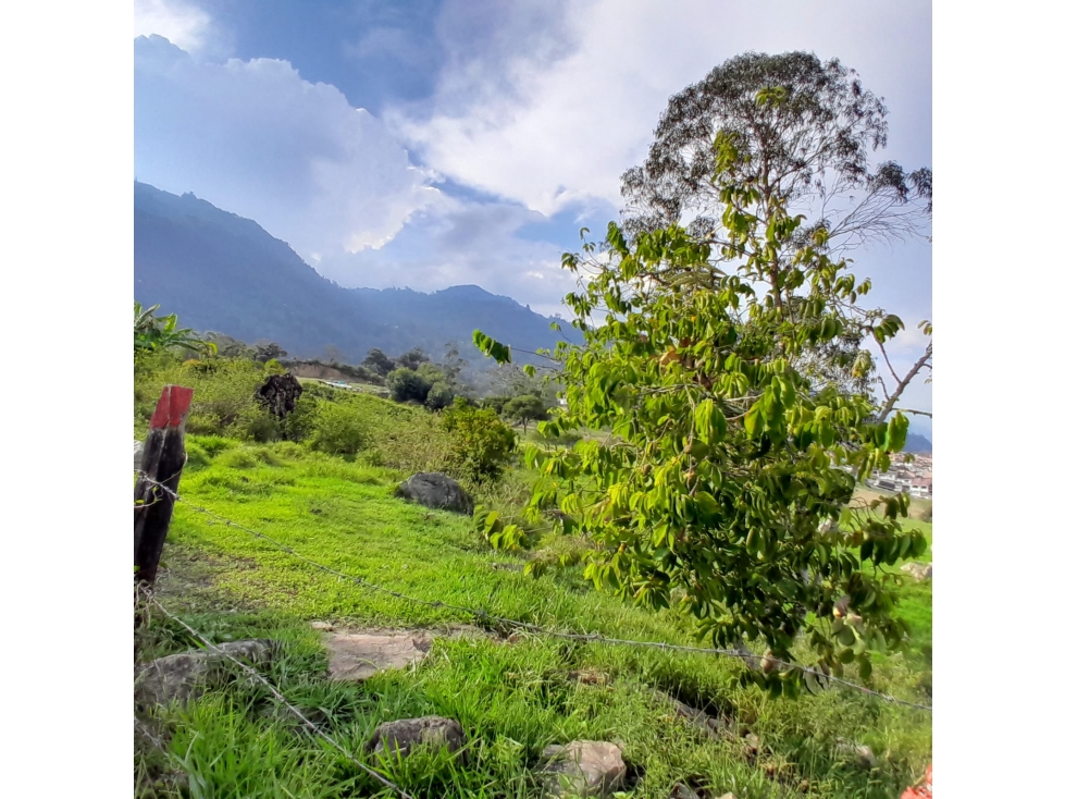 Vendo Lote Urbano, Choachí, Cundinamarca - 4