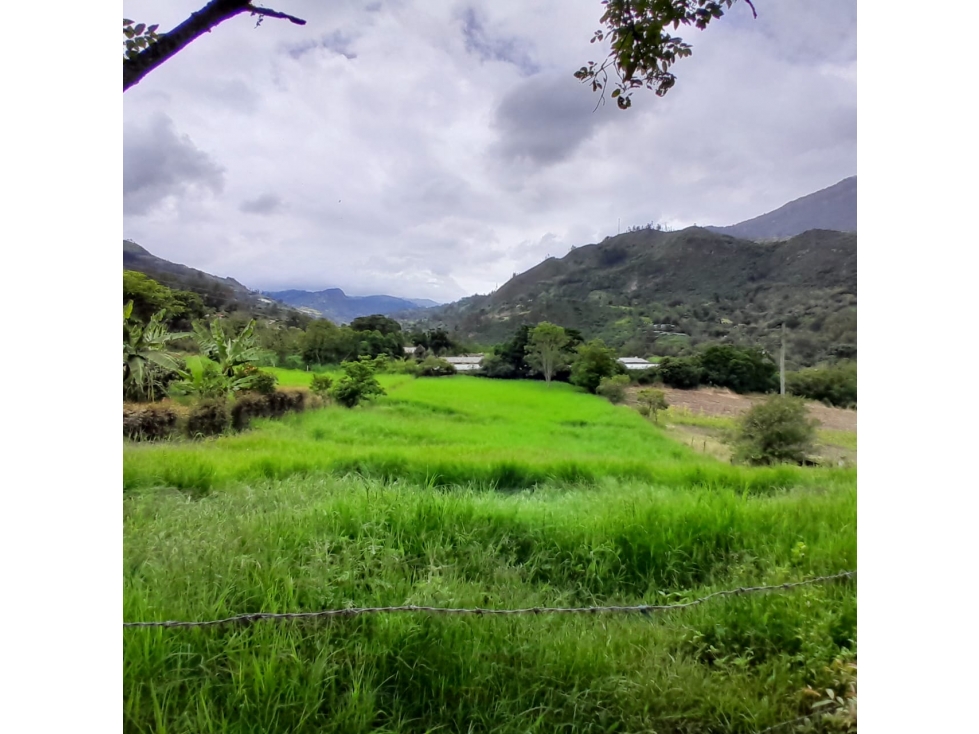 Venta Lote Rural, Sector Alto de la Virgen, Choachi, Cundinamarca - 3