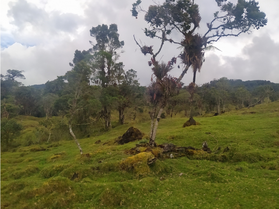 Venta de Finca Fomeque Cundinamarca - 5
