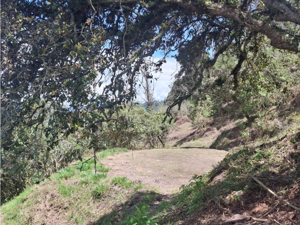 Vendo Terreno Rural de 4Ha. Choachi, Sector El Refugio - 5