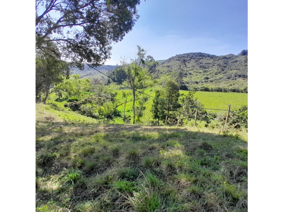 Finca Rural en Venta en el municipio de Ubaque Cundinamarca - 6