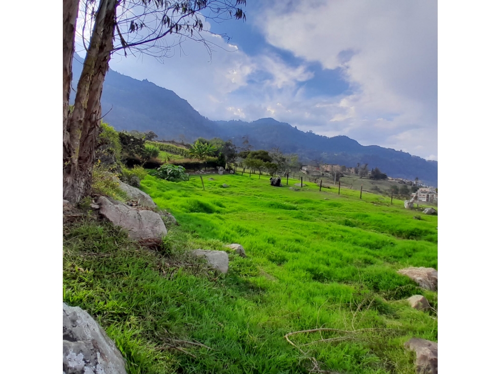 Vendo Lote Urbano, Choachí, Cundinamarca - 5