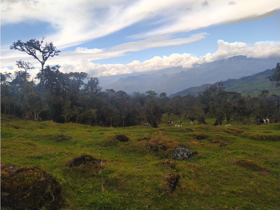 Venta de Finca Fomeque Cundinamarca - 6