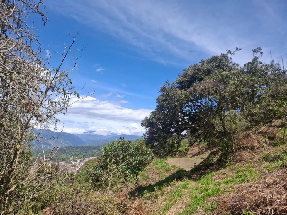Vendo Terreno Rural de 4Ha. Choachi, Sector El Refugio - 6