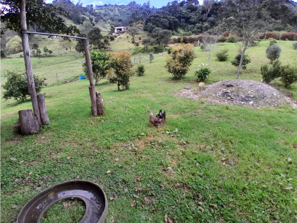 Vendo Lote Rura, Vereda La Victoria, Choachi Cundinamarca - 6