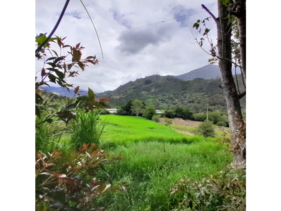 Venta Lote Rural, Sector Alto de la Virgen, Choachi, Cundinamarca - 4
