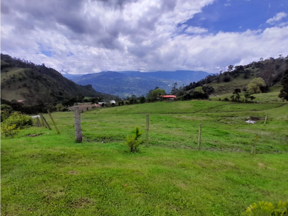 Vendo Lote Rura, Vereda La Victoria, Choachi Cundinamarca - 6