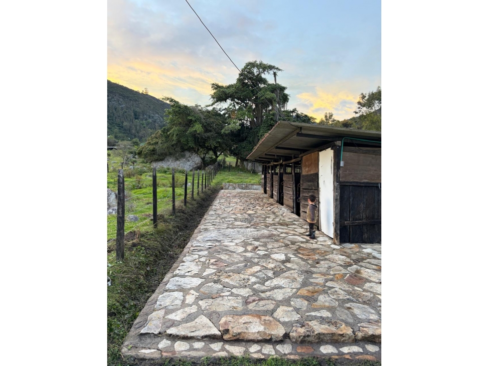 Casa Quinta Campestre- Finca- Vereda Bobadilla, Choachí - 6