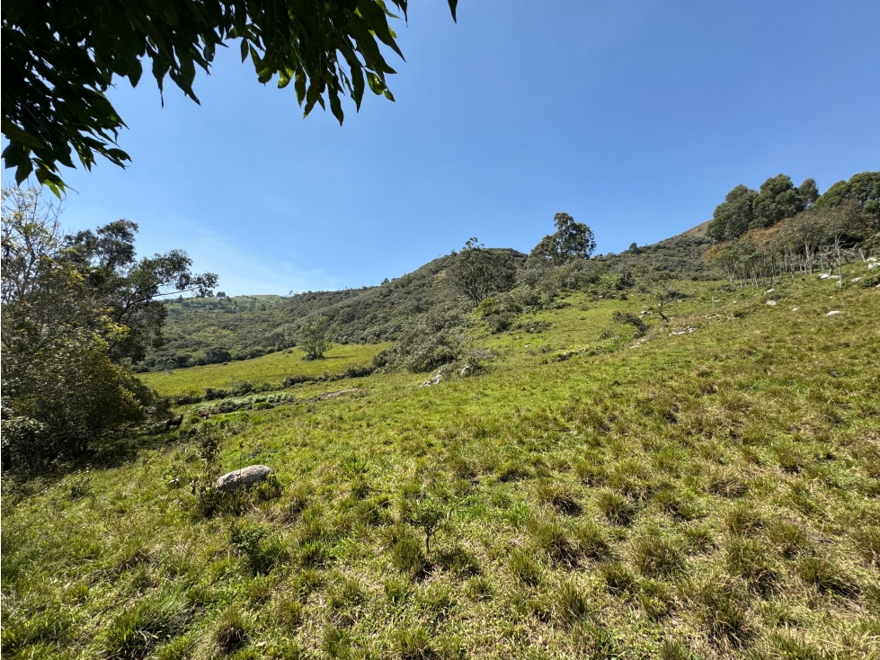 Finca Rural en Venta en el municipio de Ubaque Cundinamarca - 3