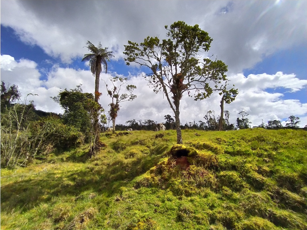 Venta de Finca Fomeque Cundinamarca - 1