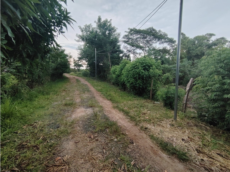 Se vende terreno en Antón, Coclé - 4