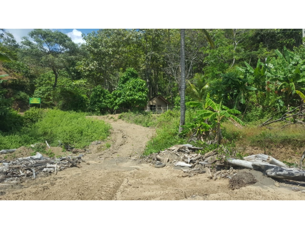 Terreno con vista al mar en Playa Los Buzos, Tonosí - 4