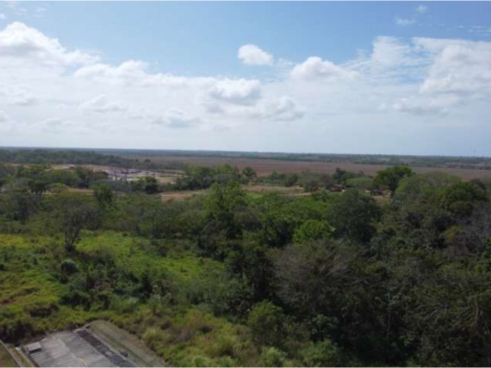 SE VENDE 9.96 HECTÁREAS EN PACORA - 3