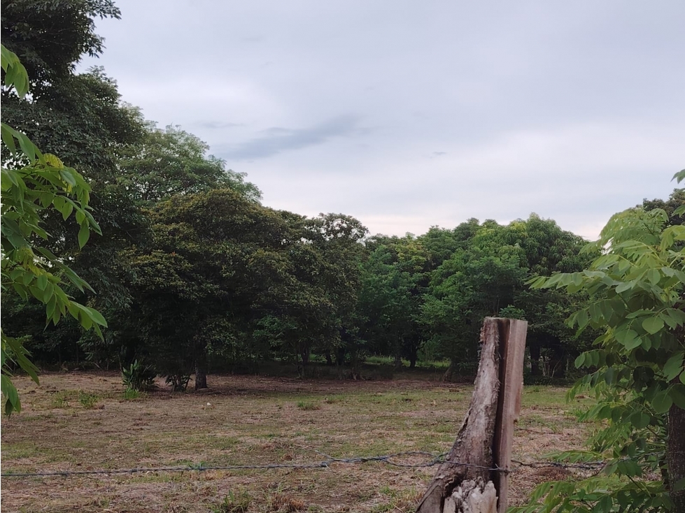 Se vende terreno en Antón, Coclé - 1