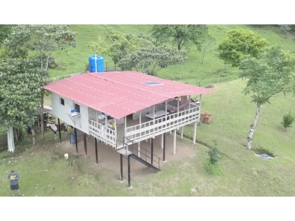 SE VENDE FINCA AGROPECUARIA EN COLÓN - 3