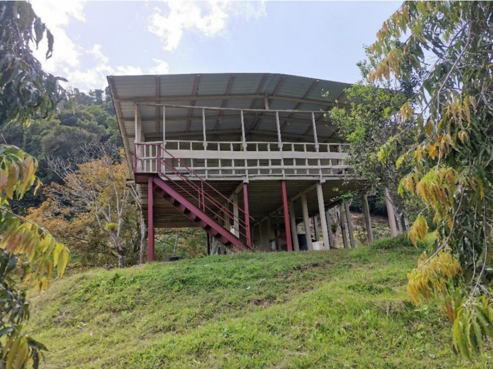 SE VENDE FINCA AGROPECUARIA EN COLÓN - 4
