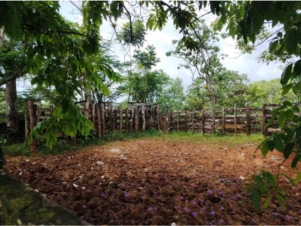 SE VENDE FINCA AGROPECUARIA EN COLÓN - 5