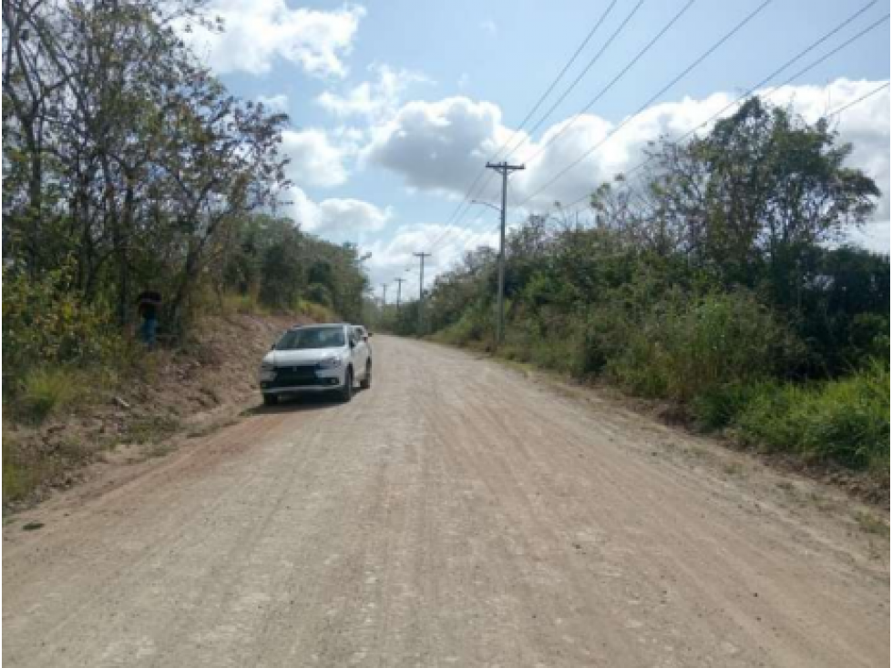 SE VENDE 9.96 HECTÁREAS EN PACORA - 4