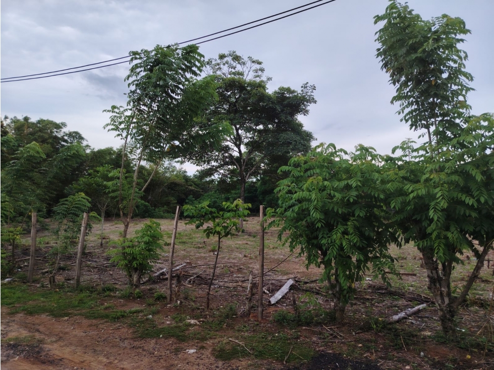 Se vende terreno en Antón, Coclé - 5