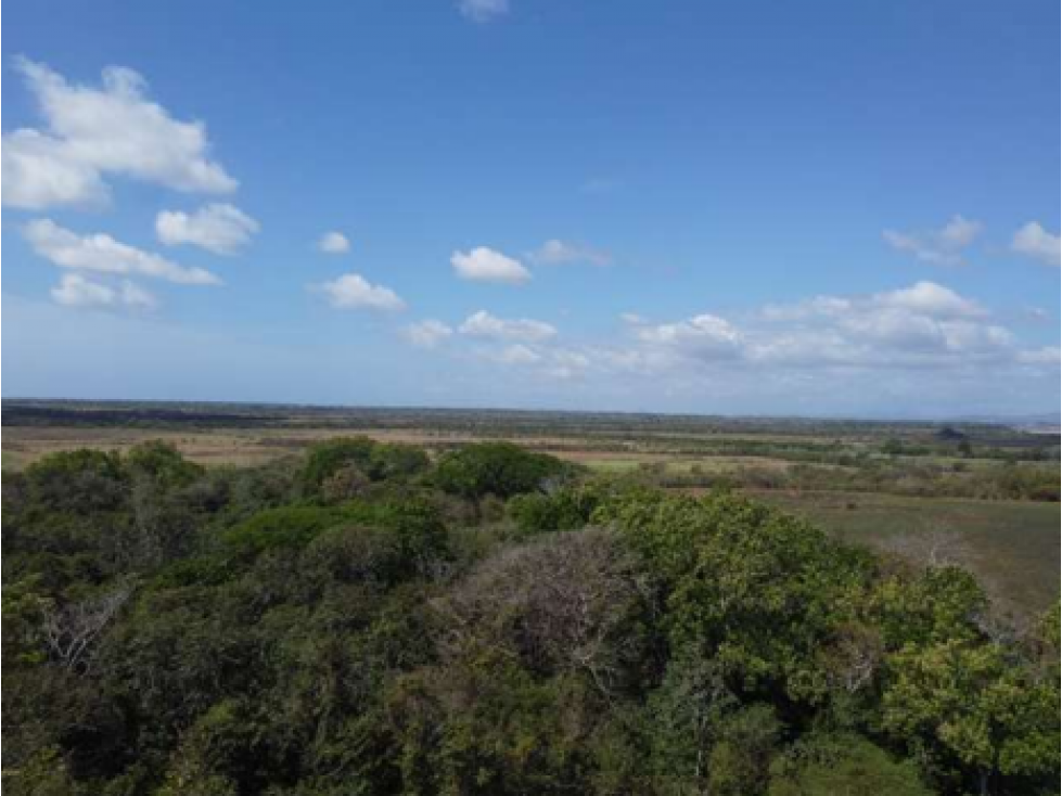 SE VENDE 9.96 HECTÁREAS EN PACORA - 6