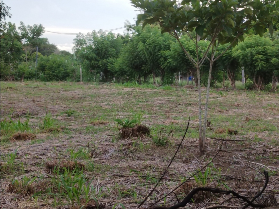 Se vende terreno en Antón, Coclé - 3