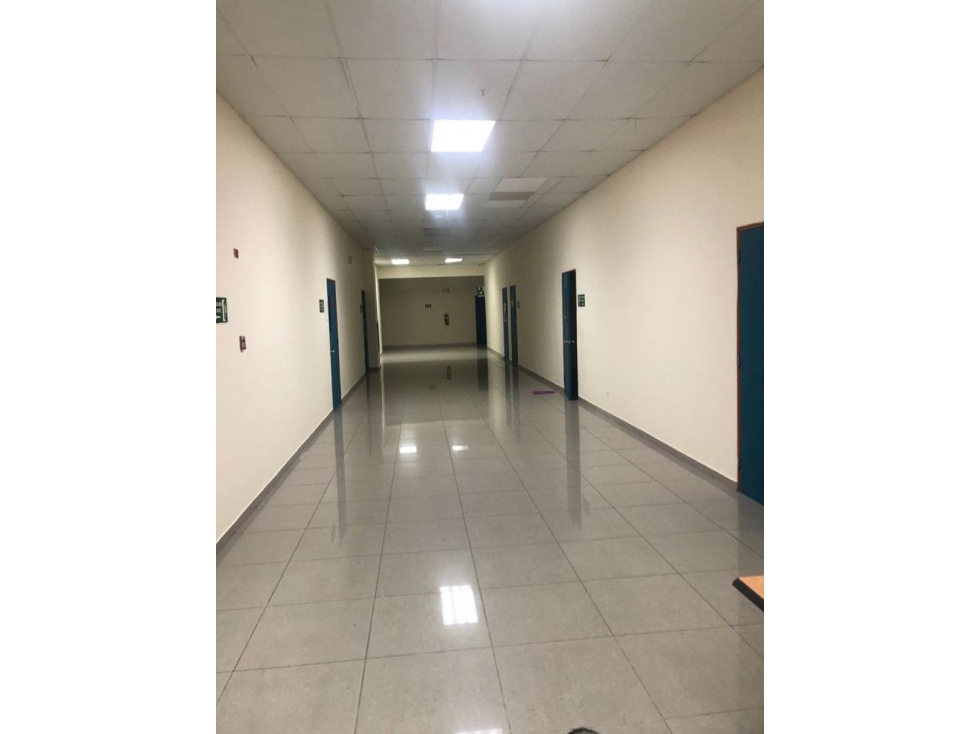 ALQUILO EDIFICIO COMERCIAL EN EDISON PARK - TRANSÍSTMICA - 3