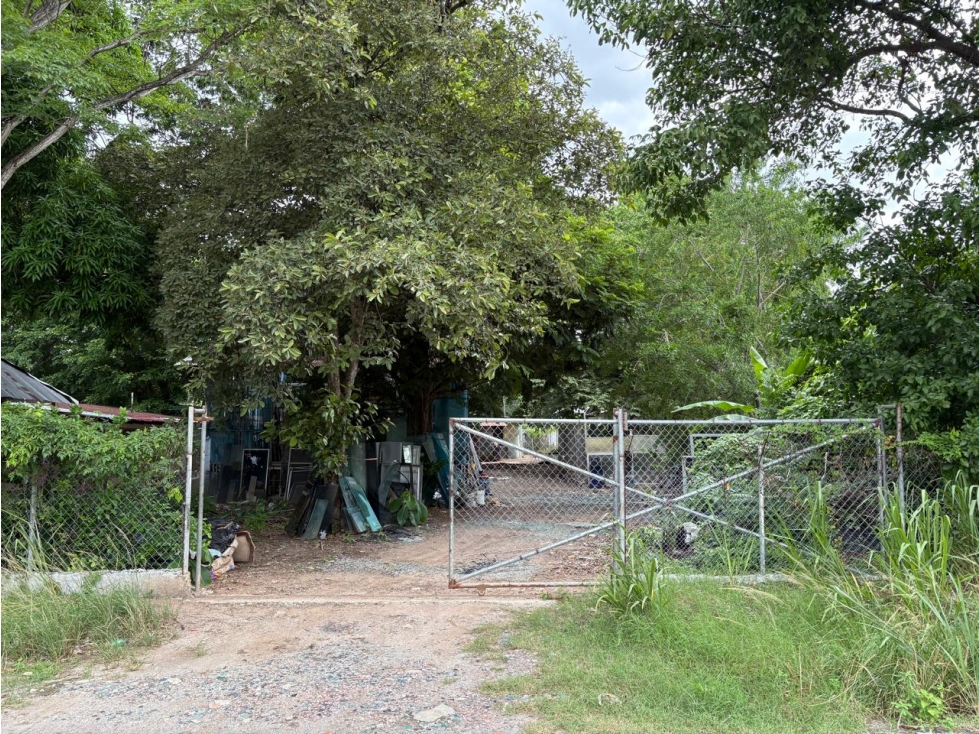 Se vende terreno frente a la Carretera Panamericana - 6