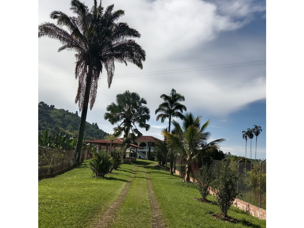 EN VENTA FINCA VEREDA LA CHINA