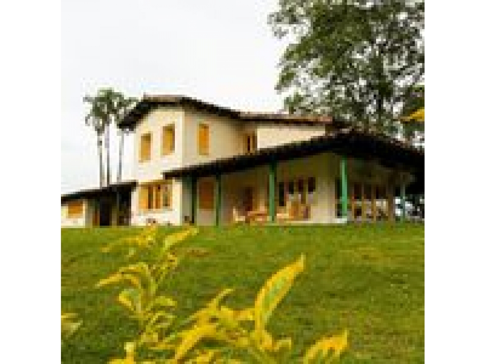 FINCA EN CHINCHINA PAISAJE CAFETERO 15 - 18 PAX - 3