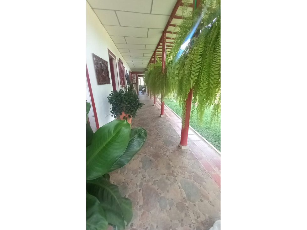 FINCA EN PALESTINA PARA 13 PERSONAS - 2