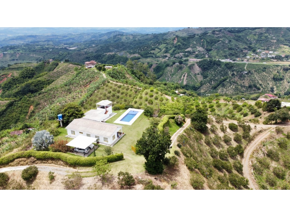 FINCA EN VENTA - VEREDA LOS LOBOS PALESTINA - 1